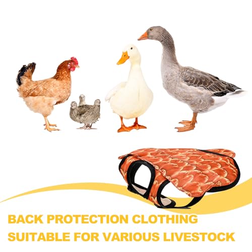M METERXITY 1-Pack Chicken Saddle for Hens, 6.3 Inch Polyester Chicken Apron Back Protector with Adjustable Strap, Wing Protector Vest Jacket Mating Clothe [Orange]