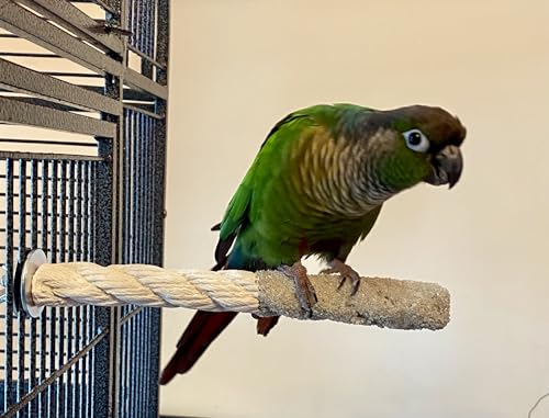 Polly's Sand-E-Rope Safety Bird Perch Toy-Trims Nails & Beak-Promotes Healthy Feet-Safe Non-Toxic-Bird Supplies for Bird Cages (Silver, Small) - color: Silver, size: Small