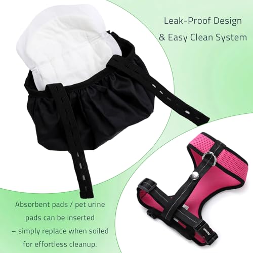Adjustable Chicken Harness Diaper (5.4ft Leash) – Breathable & Washable Secure Training for Hens, Ducks & Chicks | Outdoor Walking & Discipline Solution - color: Red, size: Small