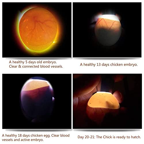 Egg Candler for Chicken Eggs, Rechargeable USB Egg Candling Light | High-Intensity Egg Candler Tester for Dark Eggs, All Chicken, Duck, and Quail - color: Dark Silver