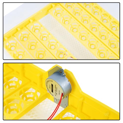 Egg Incubator Automatic Digital Hatcher Machine with Turning Temperature | Control for Hatching Chicken Duck Goose Quail (48 Eggs) - size: 48 Eggs