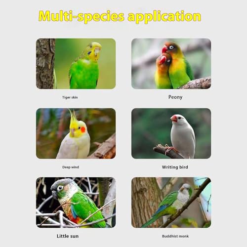 Escape Proof Parrot Bird Leash with Cord Elastic Bird Leash With Metal Ankle Rings Pet Bird Training Rope 3Meter