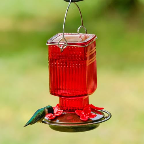 Nature’s Way Antique Red Dahlia Glass Gravity Hummingbird Feeder with Bronze Plastic Base, 22 Ounce Capacity, 4 Flexible Flower Ports and Perches, Bee-Resistant Design - color: Red