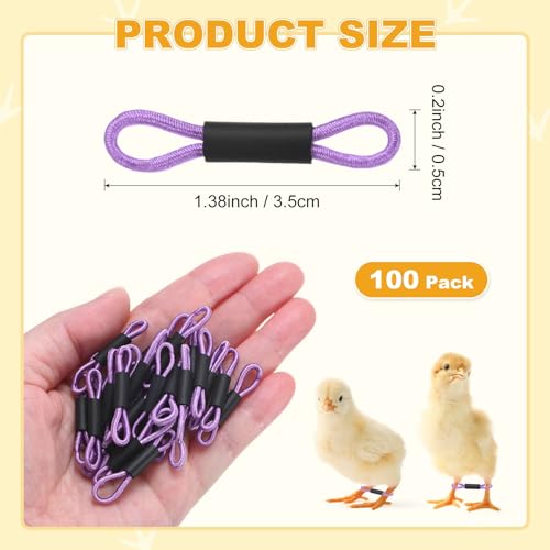 M METERXITY 100-Pack Adjustable Chick Leg Bands, 1.38" x 0.2" Polyester Chicken Leg Brace for Chicks/Ducks/Birds [Purple] Poultry Leg Bands - color: Purple