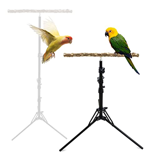 16-63 Inch Adjustable Bird Perch Stand, Natural Pepper Wood Parrot Training Perch Toy, Indoor & Outdoor Accessories for Small to Medium Birds Parrots Parakeets Cockatiels Conures Budgies Finches - size: Size A