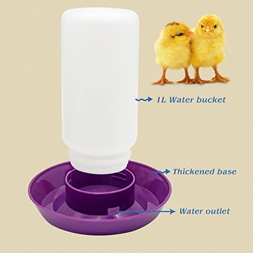 2 in 1 Chick Starter Set, 0.3Gal Feeder & 0.3Gal Waterer Set Purple | Chick Feeder and Waterer, Quail Feeder, Duck Feeder, Poultry Waterer, Chicken Feeder and Waterer Set, Baby Chicken Supplies - color: Purple