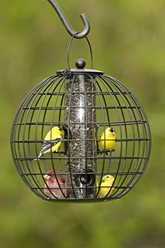 Gardener's Supply Company Globe Cage Bird Feeder | Outdoor Sturdy and Squirrel Proof Hanging Cage | Best for Finches Hummingbirds Nuthatches and Other Small Birds - Holds 3 Cups of Seeds