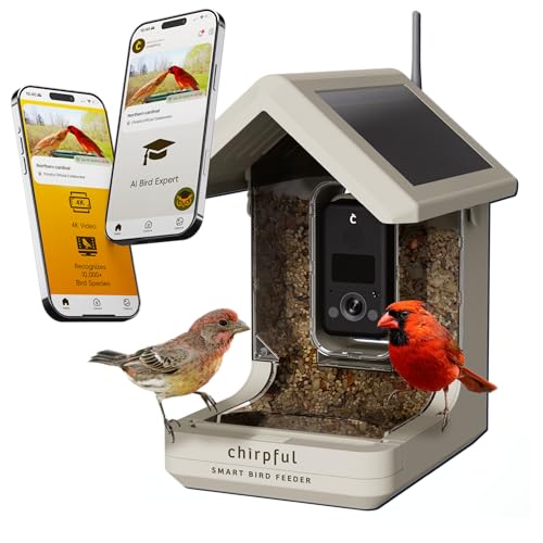 Birds Choice Smart Bird Feeder with Camera | Solar Powered Bird Watching for Outdoors | AI to Identify Bird Species, Capable of Real-Time Streaming | Wireless with Camera, Waterproof Construction | AI Species Recognition Motion-Activated Ultra HD Video an