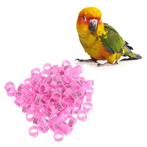 100 Pcs Chicken Bird Leg Rings Colorful Turkey Identification Leg Bands Poultry Leg Bands Clip for Pigeons Birds 10mm