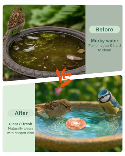 OICEME Bird Bath Purification Disk Pure Copper Outside Winter Solar Power Birdbath Wild Hummingbird Pedestal Fountain Cleaner Outside Humming Feeder Cage Dispenser Heater Outdoor Concrete Winter 3PCS - color: Copper 3PCS Flower＆Birds