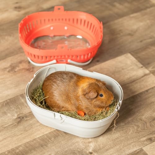 Trixie Pico Transport Crate - Portable Pet Carrier Great for On-The-Go - Traveling Cage for Small Pets, Hamsters, Guinea Pigs, Lizards, and More | Portable Pet Carrier, Ideal for On-The-Go, Traveling Cage for Small Pets, Hamsters, Guinea Pigs, Lizards - s