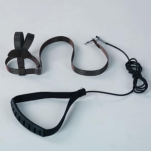 Parrot Harness Adjustable Bird Harness Flying Rope Strap Outdoor Training Traction Rope for Small Parrots Anti-Bite,Bird Nylon Rope with Cute Wing (Black) - color: black