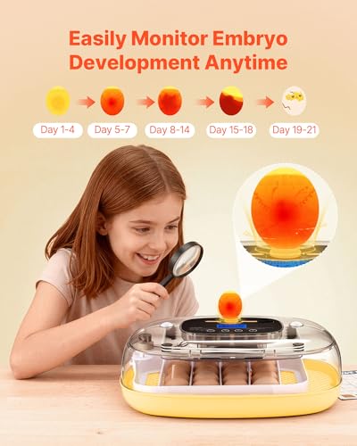 VEVOR 24 Egg Incubator, Automatic Egg Turner with LED Candler, Temperature & Humidity Control, 360° View Clear Window, Auto Water Refill, Poultry Eggs Incubators for Hatching Chicks Ducks Goose Quail - size: 24 Eggs