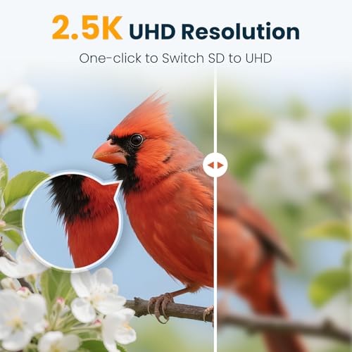 Smart Bird Feeder with Camera, Green | 2.5K UHD, AI Bird Species Identification, Solar Powered, 2.4G WiFi, IP66 Waterproof Outdoor, Instant Alerts, Gift - color: Green