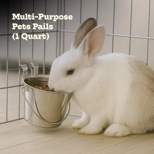 1 quart Stainless Steel Flat Sided Bucket with Dual Hooks | 0.25 gal Durable Food & Water Bowl for Dog Cat Bird & Small Animals | Fits kennel Cage Critter Crate | Hanging Utility Pet Pail - size: 1 Quart