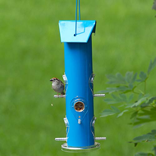 Perky-Pet Blue Metal Tube Wild Bird Feeder - 1 lb Capacity for Wild Bird Seed - Durable Construction - 391