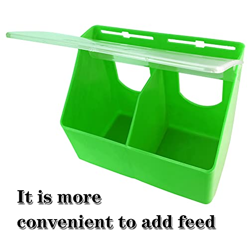 Pigeon Feeder Water 2 Pack Quail Bird Chicken Feeder Water Dispenser Drinkers with 2 Hole Pet Bowls & Feeders Eat Food (Two Hole (Green))