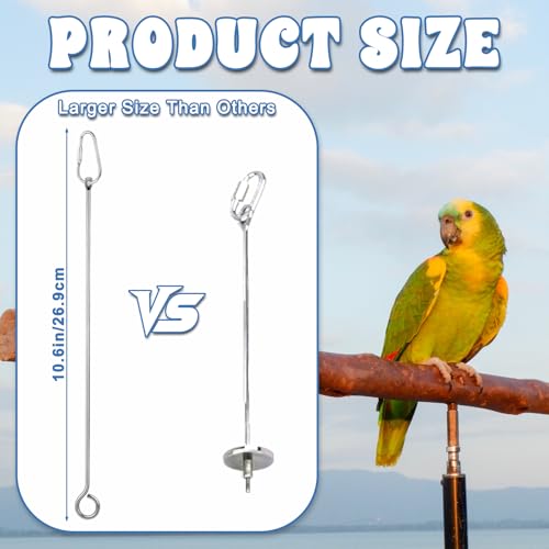ElevateTech 3Pcs Bird Food Holder, Stainless Steel Small Animal Bird Food Treats Skewer Hanging Vegetable Fruit Feeder Feed Treating Tool Suitable Parrots Cockatoo Cockatiel (Silver)