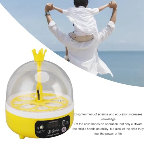Small Incubators for Hatching Eggs, Mini Egg Incubator for Home Automatic Temperature Humidity Control Eggs Candler Poultry Hatching Machine for Chickens Ducks Pigeons (Auto - size: Auto Turning