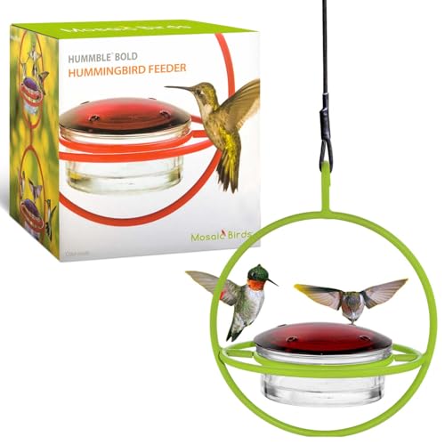 Hummingbird Feeder for Outdoors Hanging, 3.4 OZ Hummingbird Feeders, Glass Bowl with 4 Feeding Ports, Leak Proof Lid & Circular Perch, Bird Feeder (1, Lime) - color: Lime