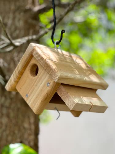 DutchCrafters Small Diamond Cedar Wood Wren Birdhouse, Outdoor Wooden Bird House, Hanging Mount Birdhouse for Outside - Amish Made in USA