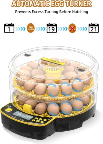 Egg Incubator for Hatching Eggs