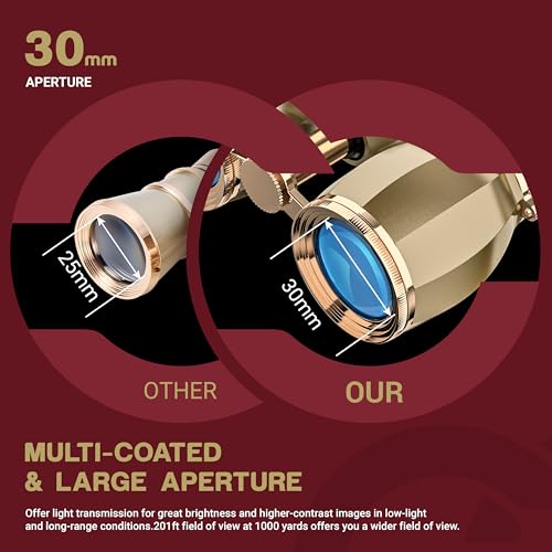 ESSLNB Opera Glasses Binoculars for Women Adults 4X30mm Theater Glasses Compact Binoculars for Theater and Concerts Antique with Case Removable Chain (Gold) - color: Gold