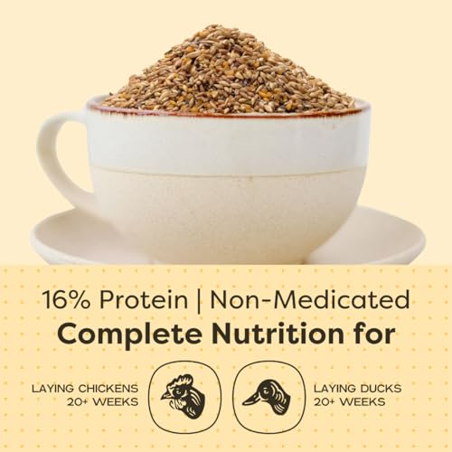 Scratch and Peck Feeds | Layer Mash for Chickens & Ducks | 25 lb Bag | 16% Protein, Corn & Soy Free, Fermentable Whole Grains, Certified Organic & Non-GMO Project Verified, Complete Nutrition - size: 25 Pound (Pack of 1), style: Layer Feed