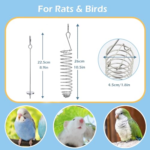 2Pcs Rat Enrichment Toys, 304 Stainless Steel Holder for Fruit Veggie | Fancy Mice Cage Puzzle Toy, Hanging Rodent Slow Feeder to Keep Pets Healthy, Bird Foraging Toy for Parakeet, Dishwasher Safe - color: 2pcs, size: A