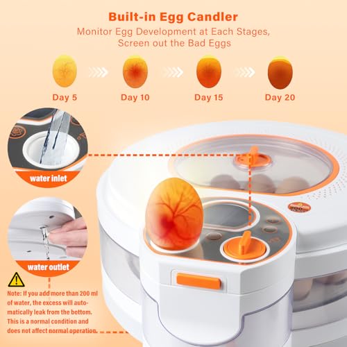 Egg Incubator for Hatching Eggs: Automatic Turner ±1°F Temperature | Auto Humidity Control - 21-Day Stable Hatching for Chickens - 12-18 Eggs Per Batch - No Assembly