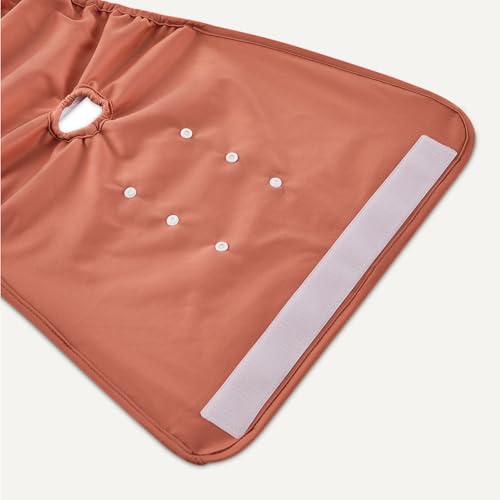 Amazon Basics Reusable Washable Dog Diapers, Highly Absorbent, Female, Extra Large, 3-Pack, for Senior Pets, Incontinence, Fertility Cycles - size: XL