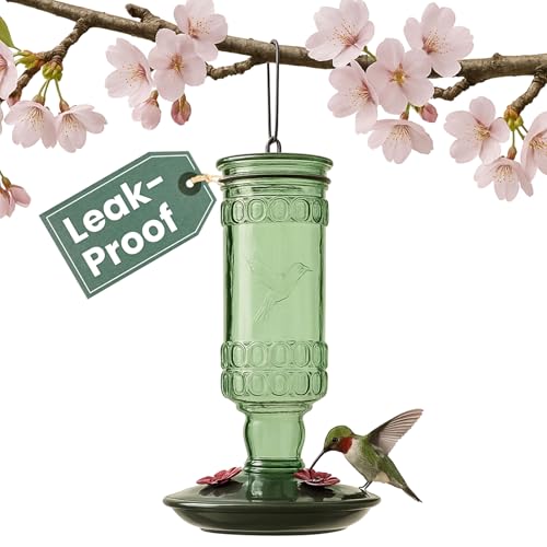 Perky-Pet Antique Glass Bottle Hummingbird Feeder, 10 oz Capacity, Green | 4 Feeding Ports for Outdoors Hanging Bird Feeders, Backyard Garden Décor - style: Green Bottle