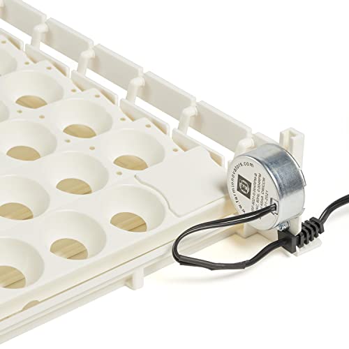 Farm Innovators 3200 Automatic 41 Spot Egg Turner for the Bottom of Incubators to Eliminate Manual Handling and Improve Hatching Rate, White (2 Pack) - size: 2 Pack
