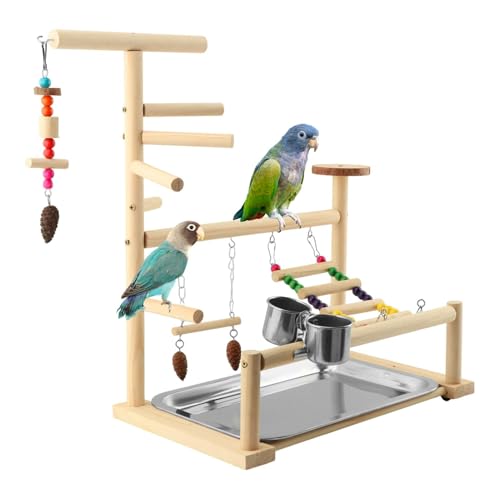 Bird Playground, Natural Pine Wood Parrot Stand with Swing, Climbing Ladder, Chew Toy and Perches, Bird Play Stand for Parakeets, Budgies, Cockatiels and Small Birds