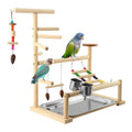 Bird Playground, Natural Pine Wood Parrot Stand with Swing, Climbing Ladder, Chew Toy and Perches, Bird Play Stand for Parakeets, Budgies, Cockatiels and Small Birds