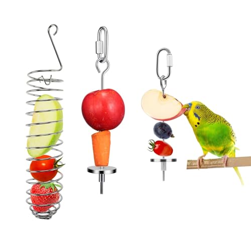 3in1 Bird Skewer Bird Food Holder Stainless Steel Parrot Hanging Vegetable Fruit Feeder Bird Treat Skewer, 2X Fruit Fork +1 Food Basket, Parrot Foraging Toy for Parrots Cockatoo Cockatiel Cage