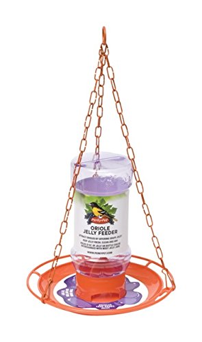 253 32 oz Oriole Jelly Feeder