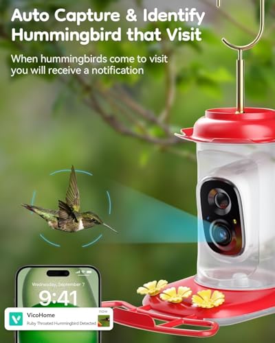 Solar Hummingbird Feeder with Camera, 2K Live View AI Identify Camera | 2K live view camera, Smart AI species identification, Ant guard & moat, Bee proof design, 3 feeding ports, Bird lover gift