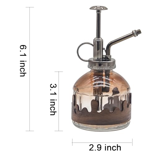 Glass Plant Mister, Spray Bottle with Vintage Bronze Plastic Pump | Vintage Style Spritzer, Indoor Plant Spray Bottle, 6.3" Tall, 200ml/6.7oz, Small One Hand Watering Can for Garden Cleaning - color: C-Morning Dew
