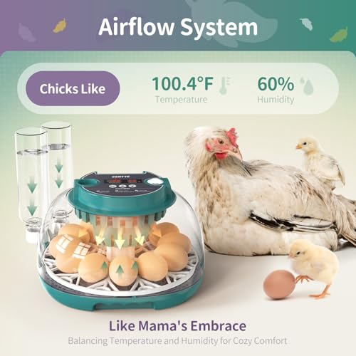 Automatic Egg Incubator for Hatching Eggs with LED Temperature Display, Humidity Control & Egg Turner, Clear Lid Incubator for Chicken, Quail & Bird Eggs (12 Egg Capacity)