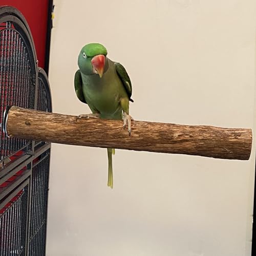 Polly's Single Bolt Hardwood Cage Perches Made in USA for Budgies, Parakeets, Cockatiels, Greys, Amazons, Blue & Gold Macaws, Cockatoos, Green Wing Macaws & Hyacinths. (X-Large) - size: X-Large