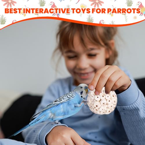 9 Pack Bird Toy Sola Balls, Natural Parrot Soft Chew Shredding & Foraging Toy, Bird Foot Balls for Cockatiel Conure Quaker Budgie Parakeet Bunny Guinea Pig Chinchilla Rabbit - size: 9
