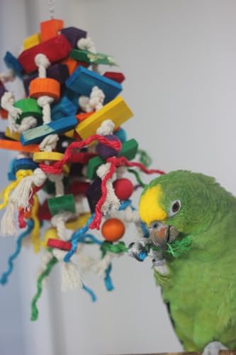 Colorful Parrot Chew Toy for Aggressive Chewers (Large) | Durable Bird Toy with Wood Blocks & Cotton Rope, 37cm Hanging Foraging Toy for Small to Large Parrots