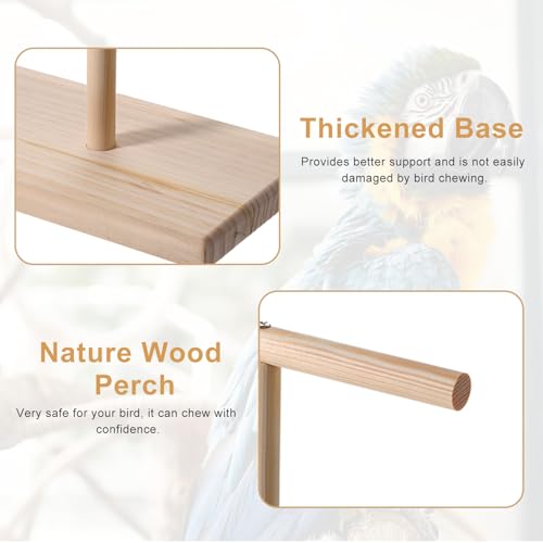 Bird Perch Stand, Bird Training Portable Tabletop Parrot Stand | Parakeet Perches for Cockatiels, Conures, Macaws, Finches Lovebirds