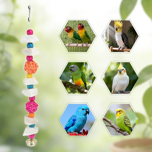 Bird Toys with Cuttlebone, Grinding Stone for Bird, 2 Pcs, C | Prevent Destructive Chewing, Colorful，White - style: Style C