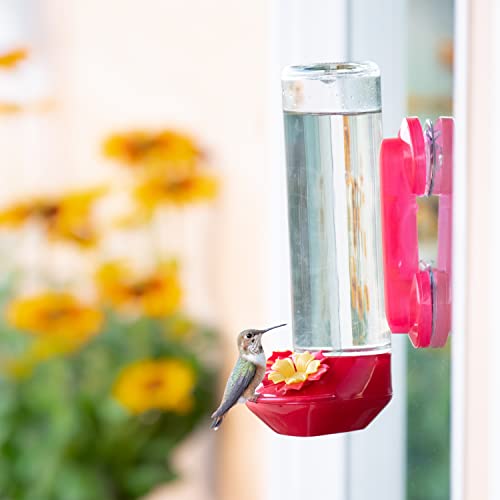 Perky-Pet Window-Mounted Glass Hummingbird Feeder - 14 fl oz Nectar Capacity - Entertaining Bird Watching - Glass Window Bird Feeder - 455-2 - Family Birdwatching - size: (Pack of 1)