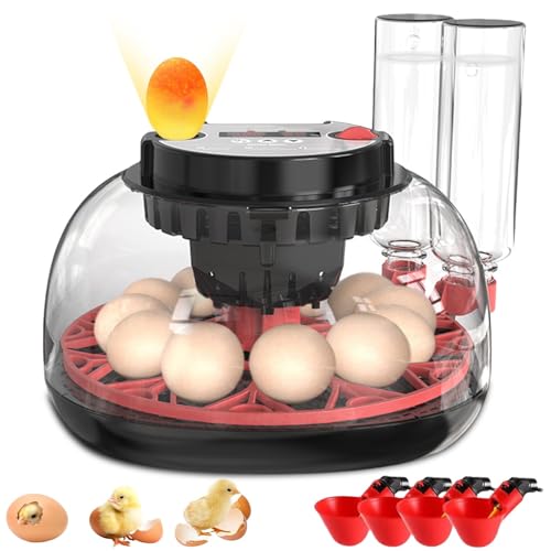 12 Egg Incubator with Auto Turner, Built-in Candler & Humidity Display | Suitable for Hatching Chicken Duck Quail Bird - size: 12 Egg