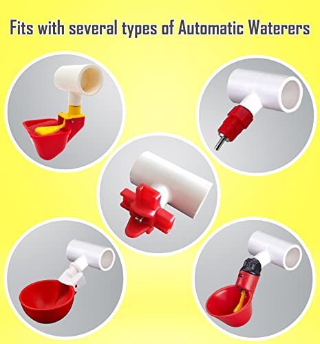 (6 Pack) Chicken Waterer PVC Tee Fittings For Threaded Poultry Watering Cups - Schedule 40 PVC 1/2 inch Slip X 1/2 inch Slip X 1/8 inch FPT