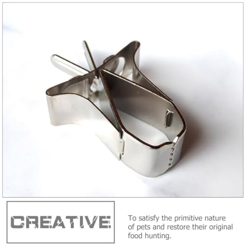 Toddmomy 4pcs Compact Bird Cage Clips Stainless Steel Convenient Small Fruit and Vegetable Food Holders for Daily Use Feeding Supplies