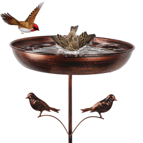DREAMSOUL 13" Dia Bird Bath with 5 Prong Stake, Metal Birdbath | Solid Build Bird Bath for Outside, Durable Classic Vintage Look for Outdoor Living, Ideal Yard Bird Decoration - size: 13 Inch-A